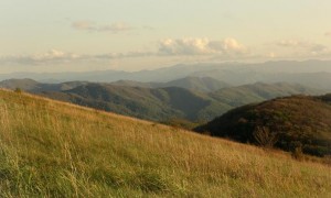 Max Patch Bald