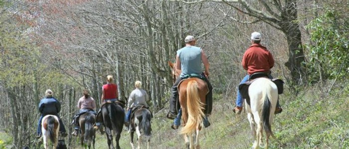 Trail ride